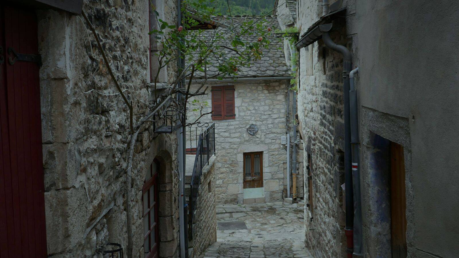 Camping-Saint-Geniez-d-Olt-Sainte-Eulalie-d-Olt-POI-TH